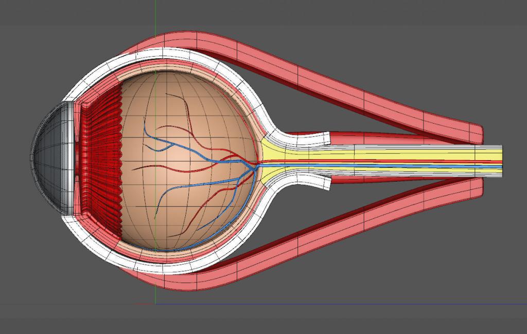 Глаз наблюдателя находится перед щелью в точке а сделав схематический рисунок покажите
