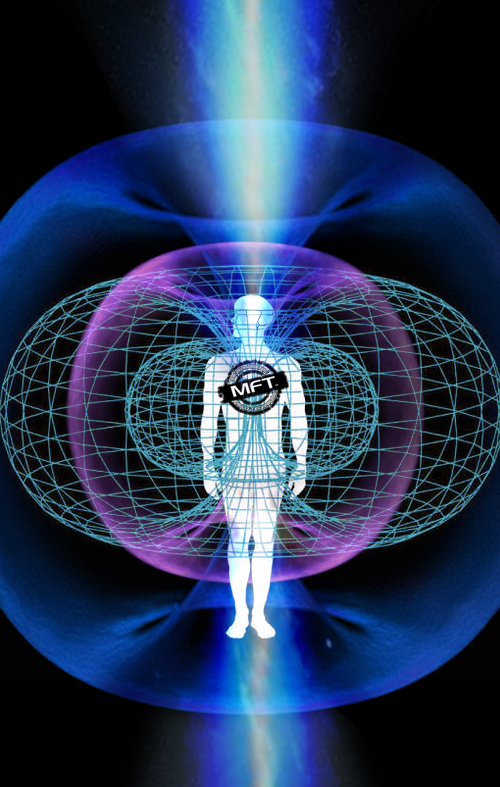 Morphogenetic fields and fields of consciousness