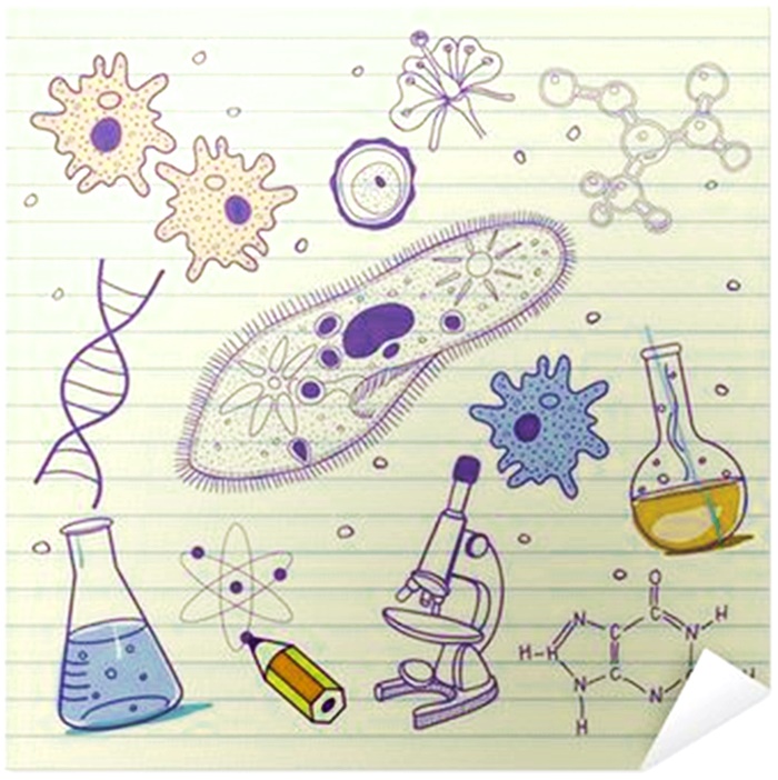 Темы по химии и биологии. Химия иллюстрации. Рисунки на тему химия. Химические рисунки. Украшения для тетрадки по химии.