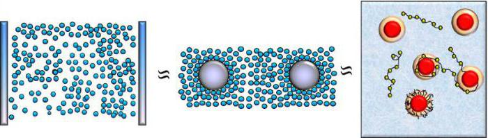 мицелла коллоидной частицы