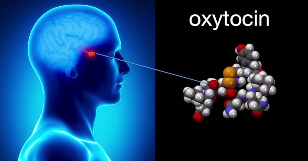 окситоцин что за лекарство