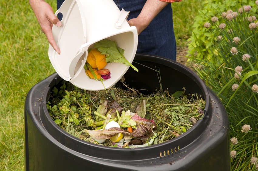 garden composters for summer cottages