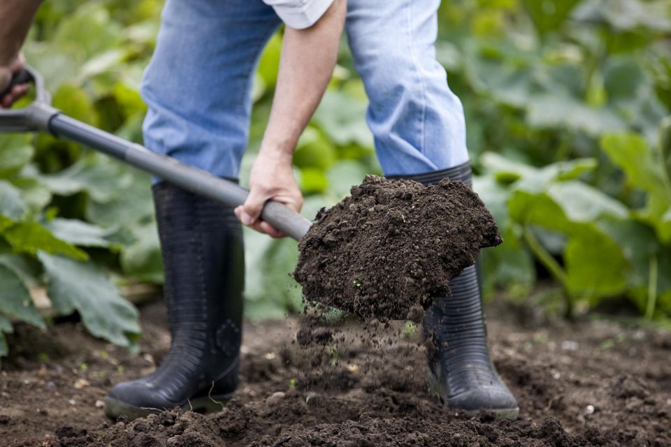 composter wave for giving 1000 l