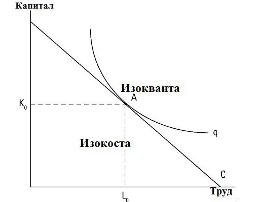 изокоста это