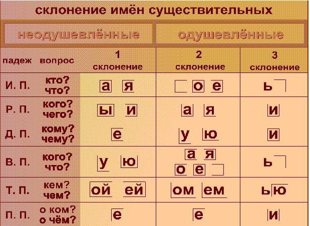 The grammatical meaning of the noun