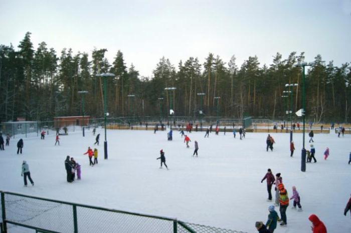 Парк южный воронеж фото