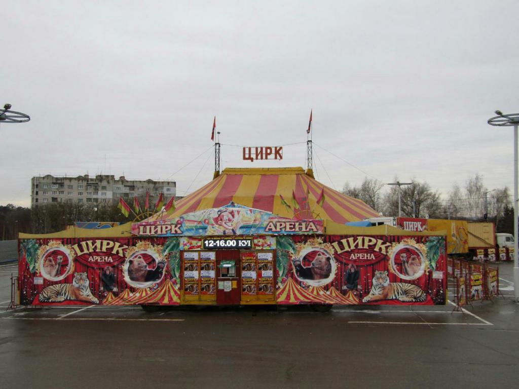 Цирк на площади перед дворцом