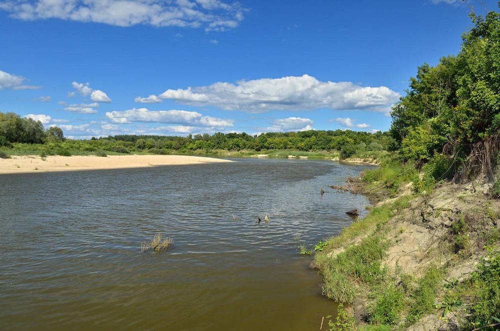 Рыбалка на берегу суры. Река Сура Алатырь. Река Алатырь в Мордовии. Река Алатырь в Нижегородской области. Река Сура в Мордовии.