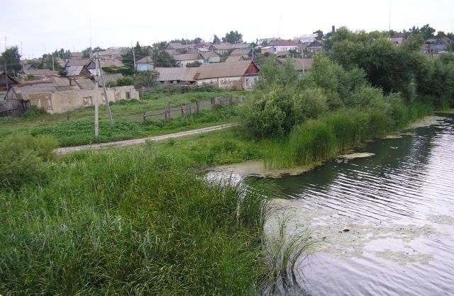 The village of Shirokiy Karamysh on the river