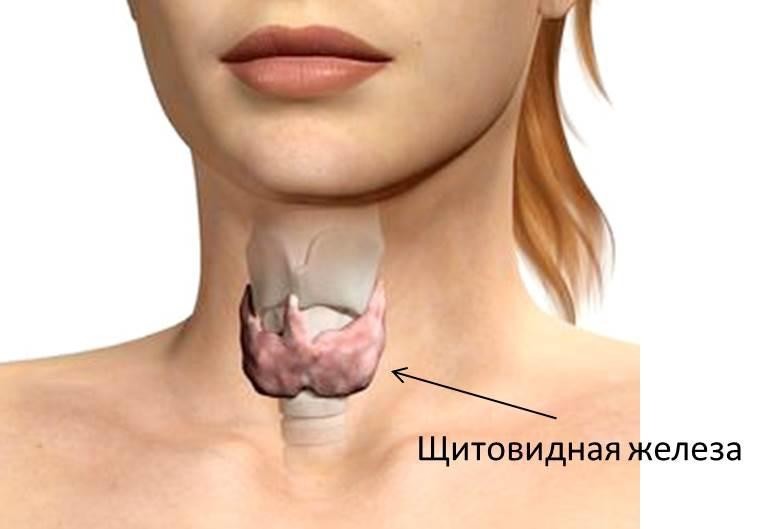 как болит щитовидная железа у женщин симптомы