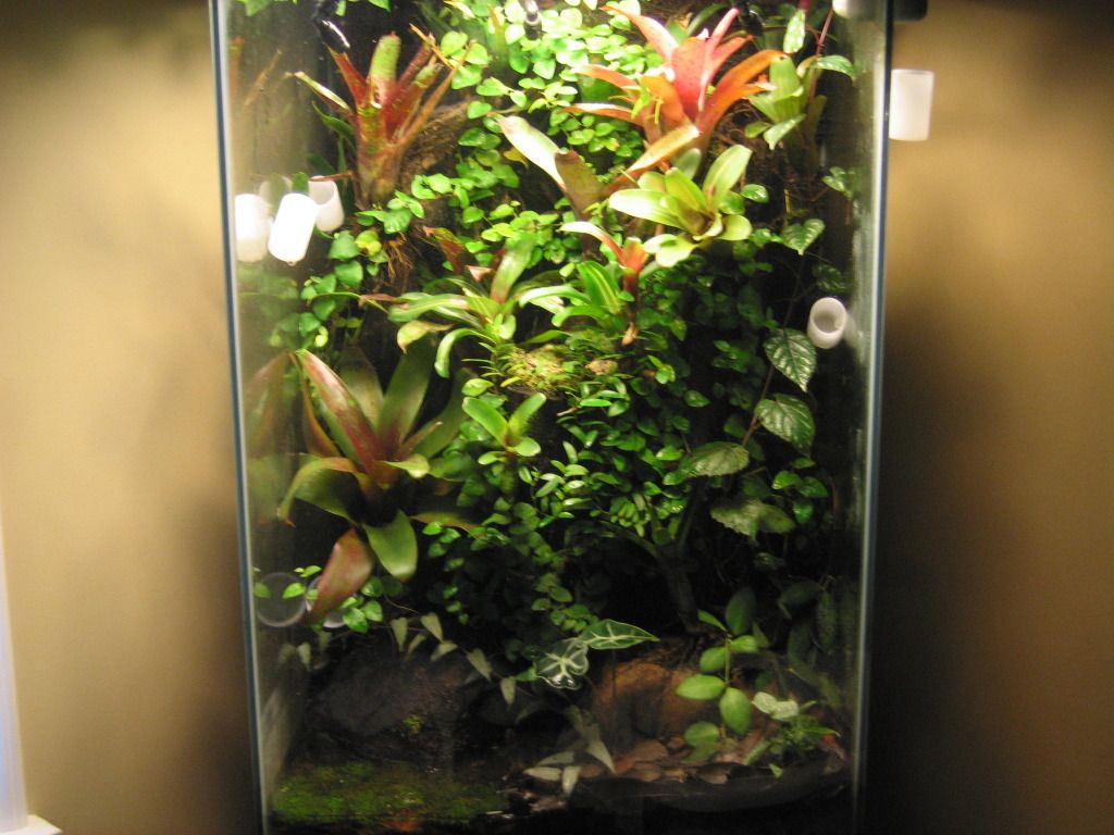 Vertical aquarium