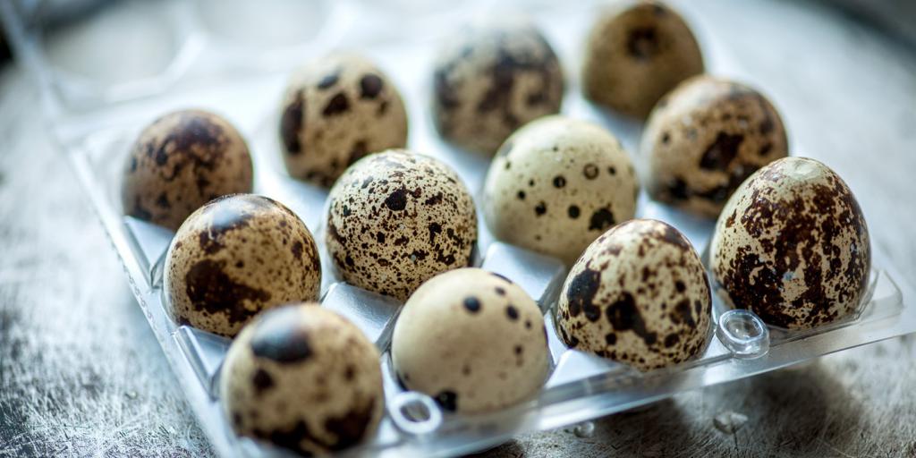 quail eggs appetizer recipes