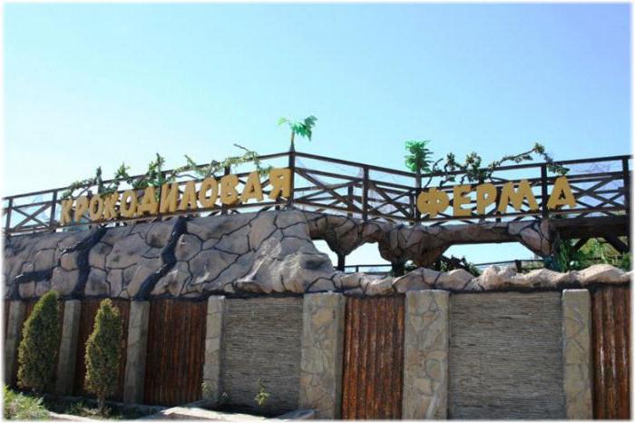 crocodile farm golubitskaya