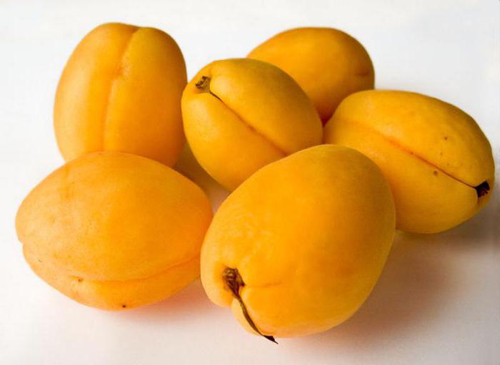 apricot variety shalah