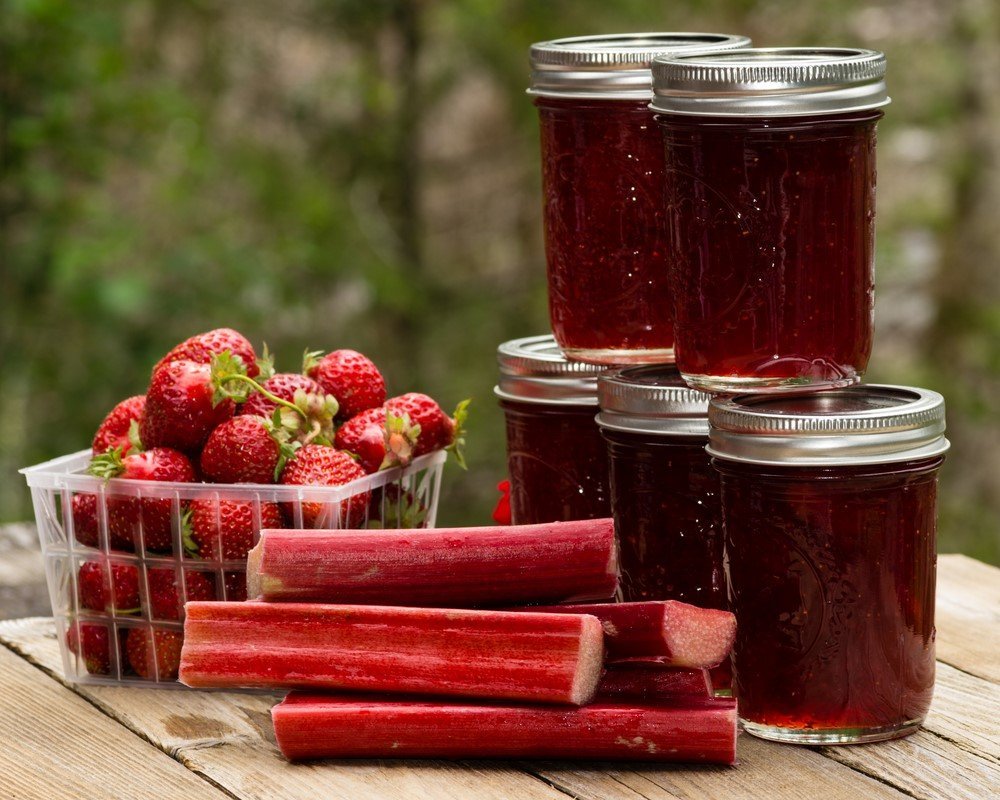 Rhubarb jam: useful properties