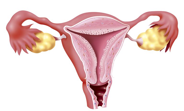 cervix hurts what to do