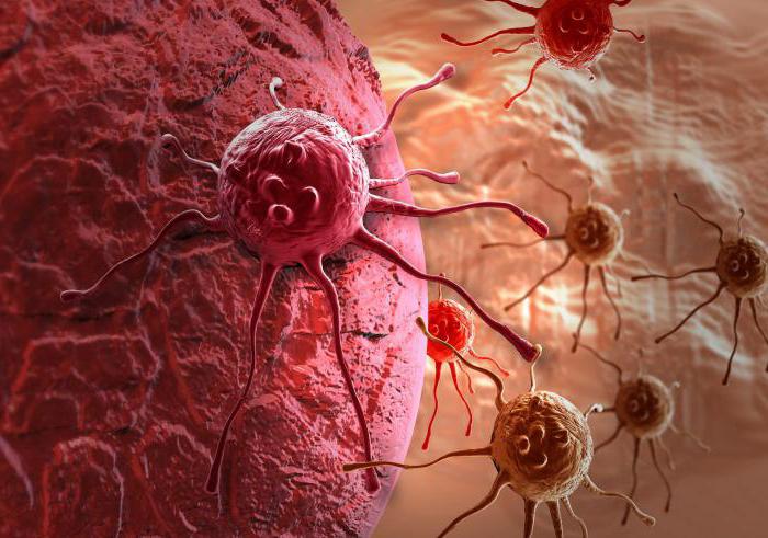 анализ на наличие раковых клеток в организме 