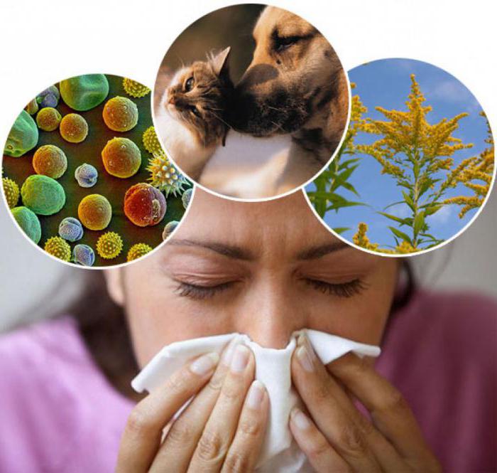 аллергия опухшие глаза 