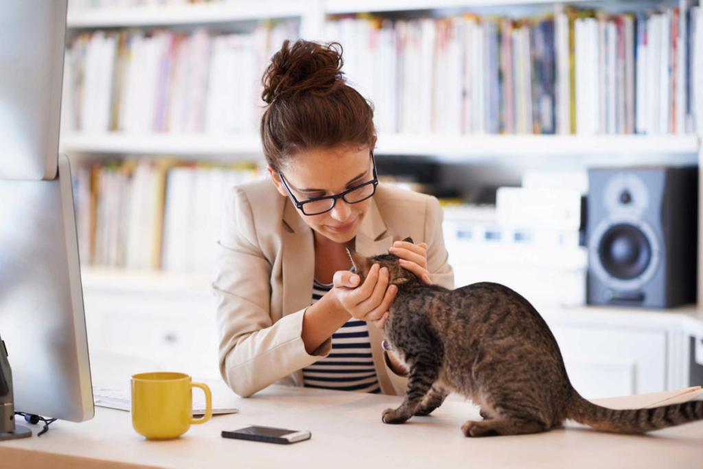 cat with mistress