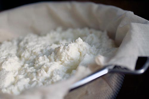 cheese making