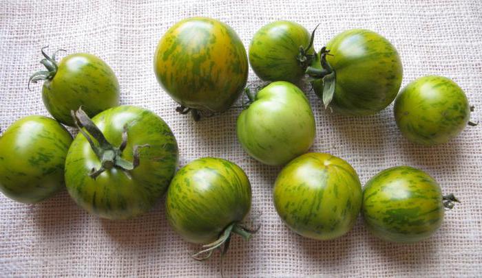 сорта зеленых помидор