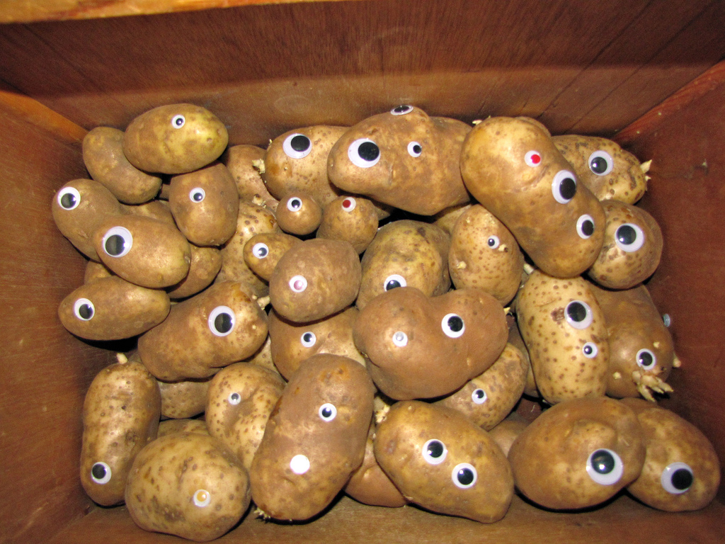 Размножение картошки