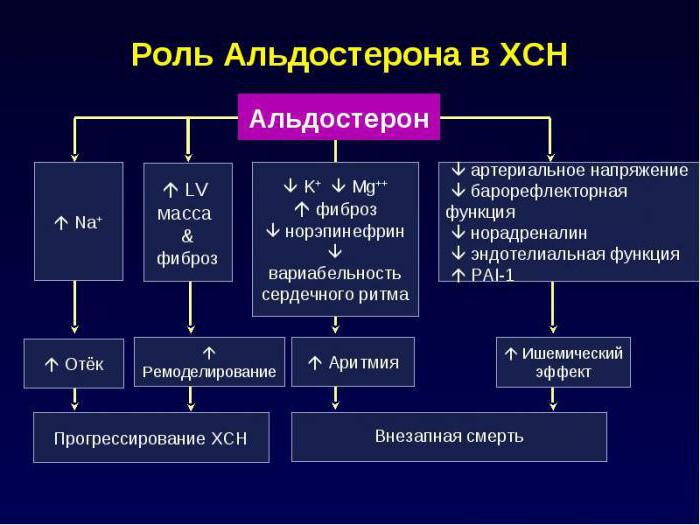 ренин агиотензин альдостероновая система патофизиология