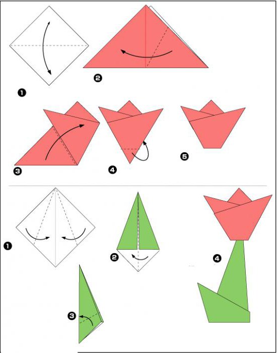 Оригами из бумаги для начинающих самые легкие схемы пошагово из листа а4