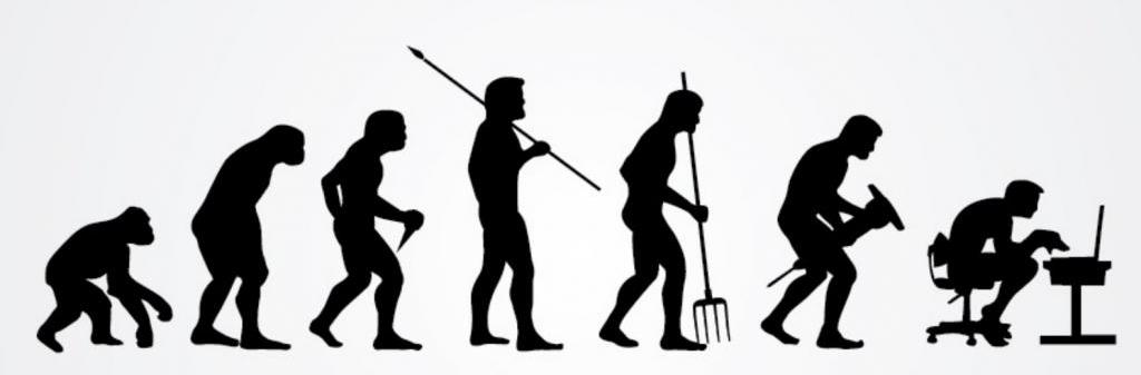 Human evolution