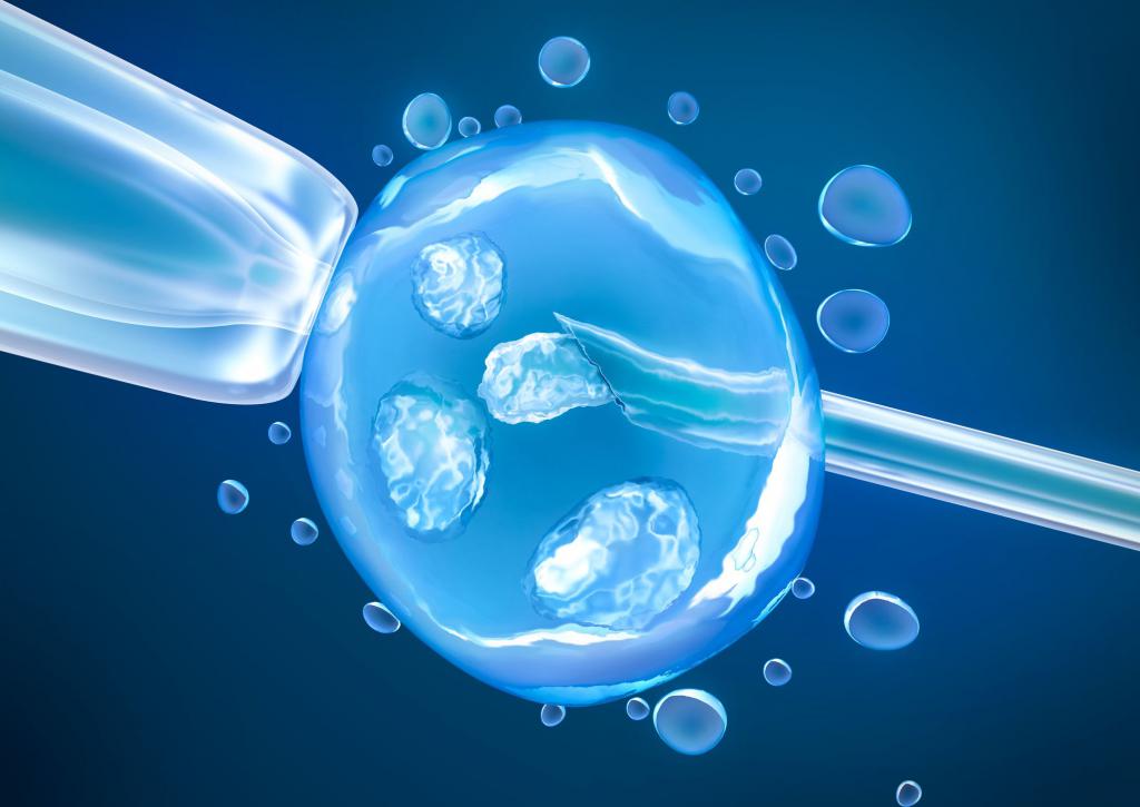 заморозка эмбрионов при эко плюсы и минусы