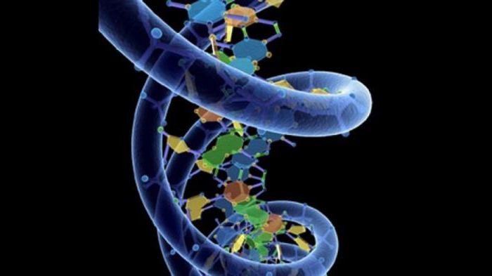 molecular level characterization