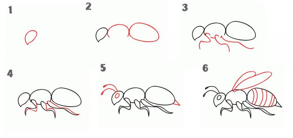 how to draw a wasp