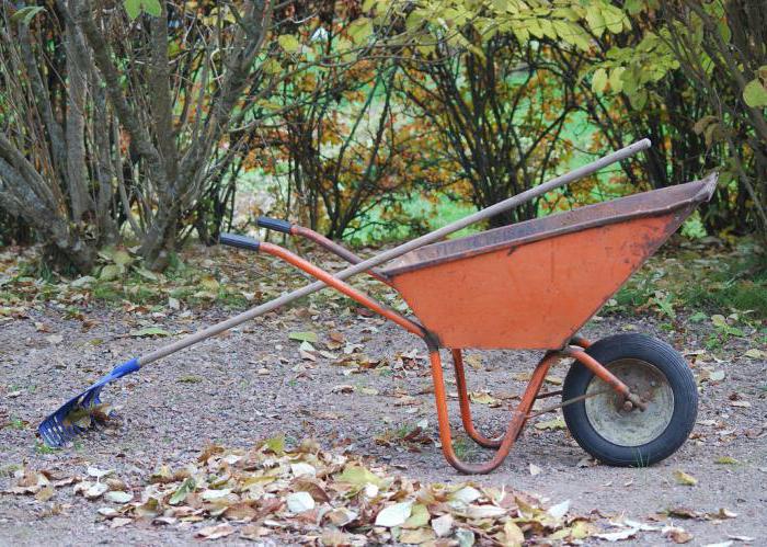 how to prepare the currant bushes for the winter