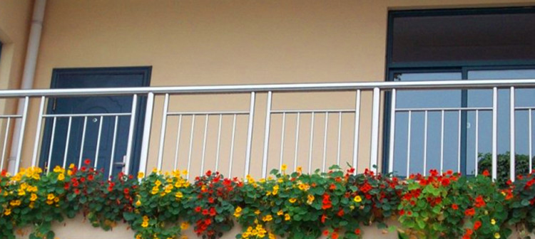 Настурцией украшают балконы