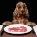 Рацион питания щенка кокер спаниеля без диет