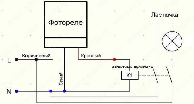 Укажите правильную последовательность включения компьютерного оборудования сдо