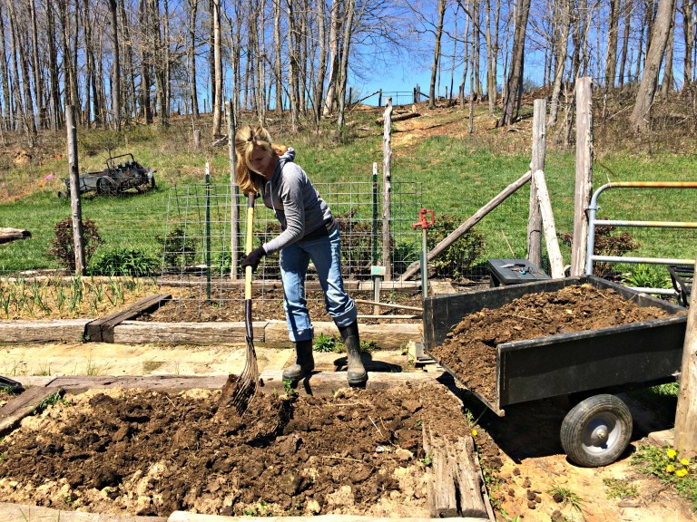 Using mullein as a fertilizer