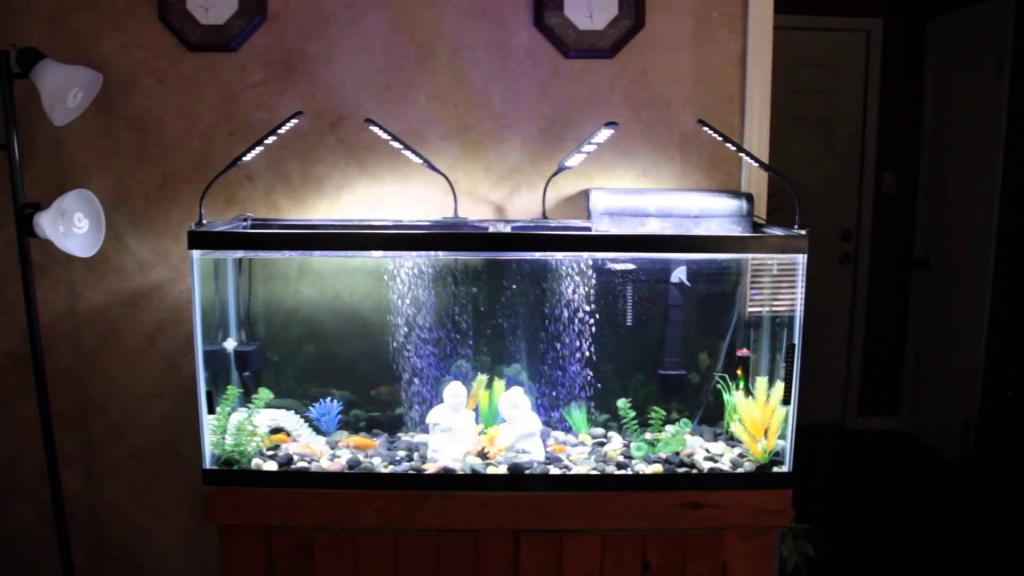 Освещение аквариума светодиодными лампами