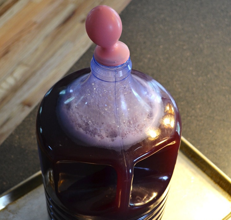 Процесс брожения вина из черноплодной рябины