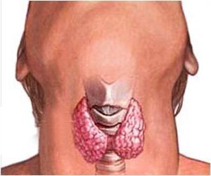 хронический тиреоидит щитовидной железы