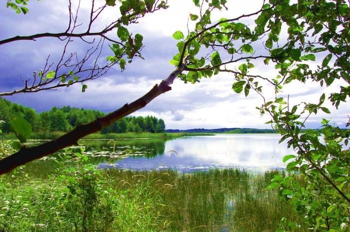 отдых в белоруссии на озерах 