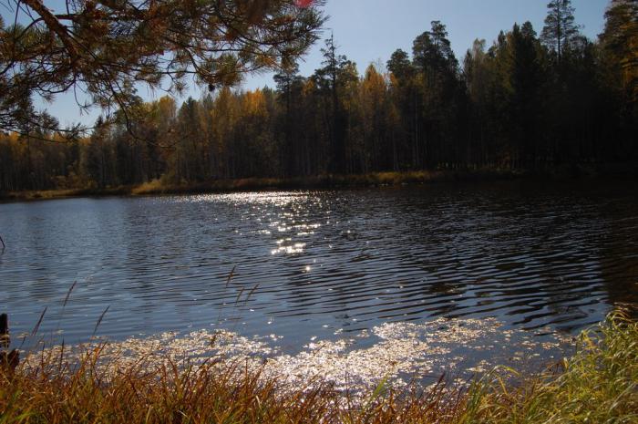 рефтинское водохранилище фото 