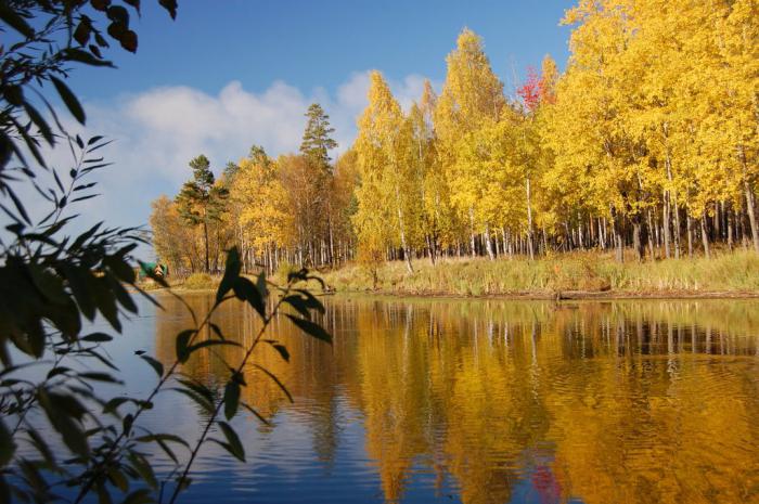 рыбалка на рефтинском водохранилище 