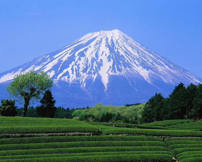 fuji in japan