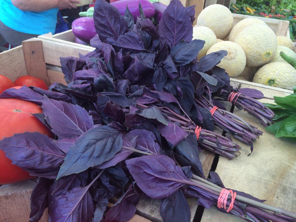 beneficial properties of purple basil