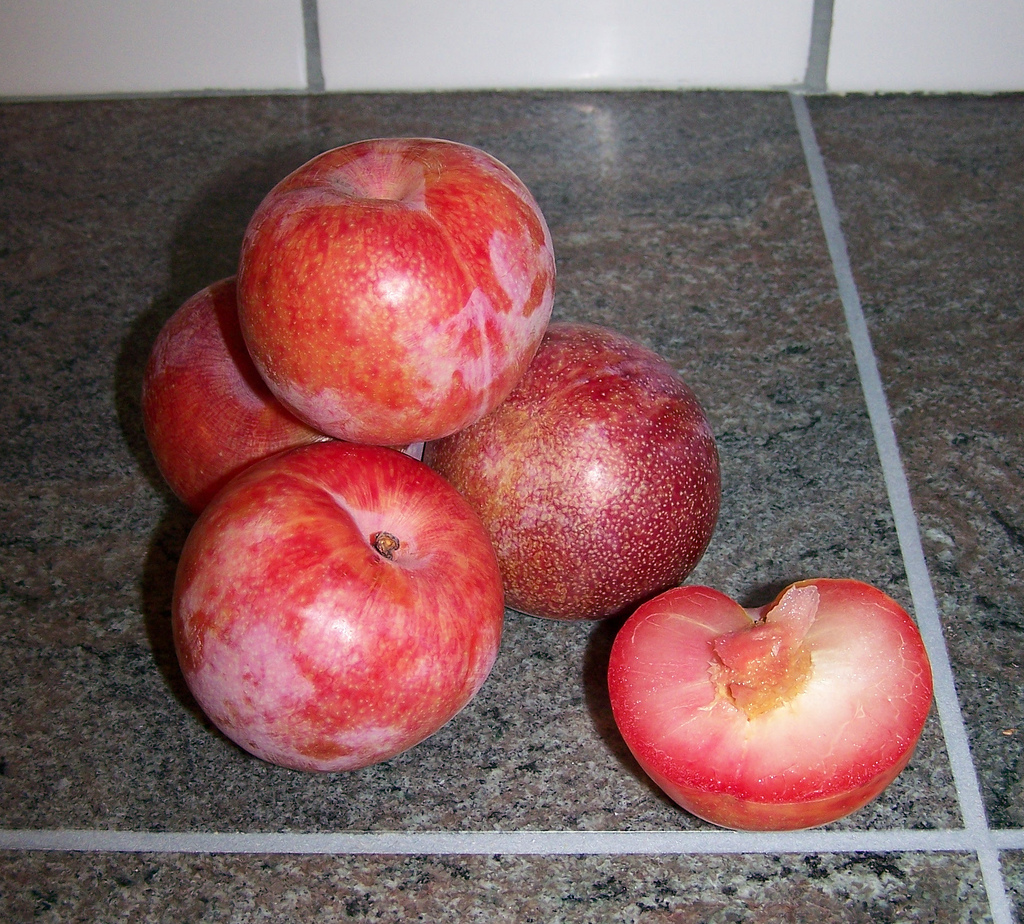 Pink fruit with black seeds