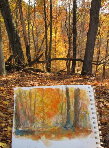 How beautifully paint golden autumn