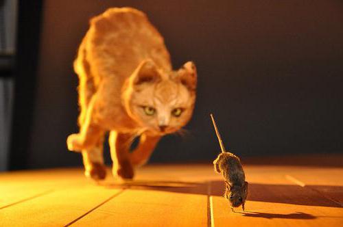 Сказка про умного мышонка
