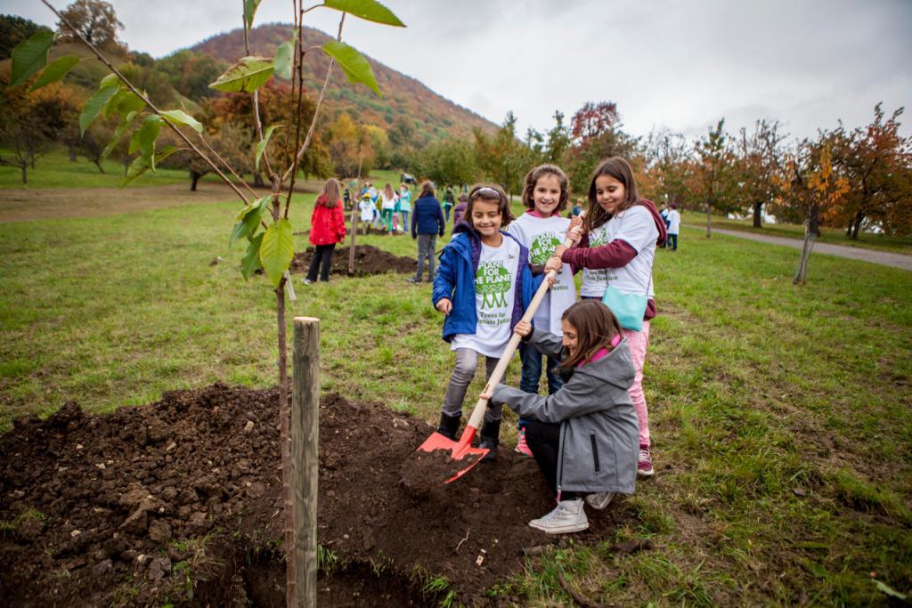 дети сажают деревья