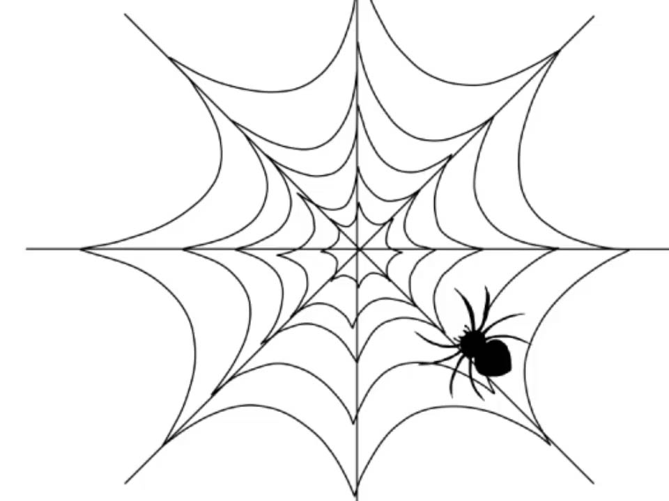 паук на паутине.